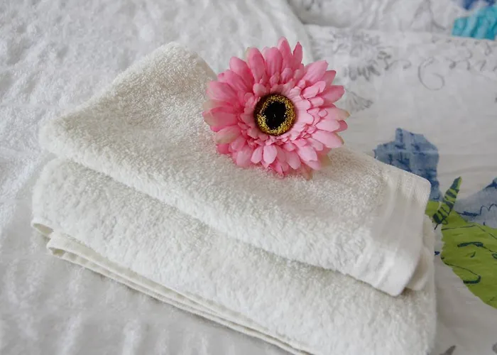 Apartamento Classic *